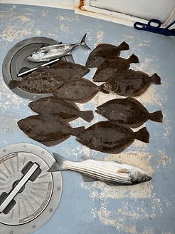8-Hour Inshore fishing charter – Cape Cod, Hyannis MA